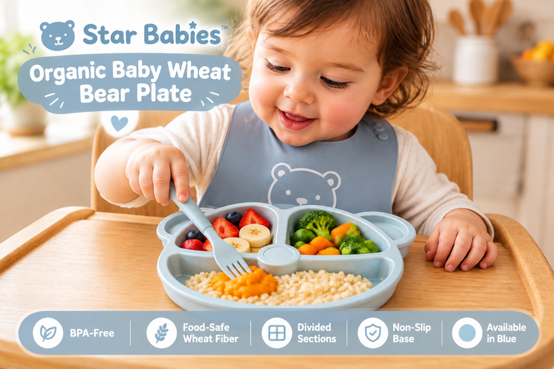 Star Babies blue organic wheat bear plate set