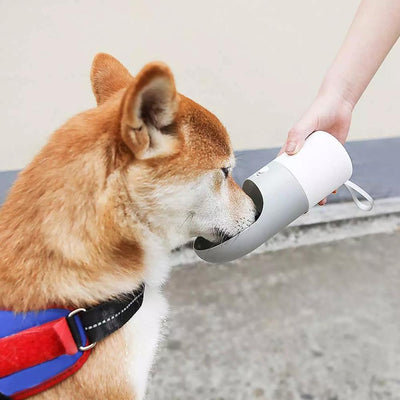 Pet Travel Water Bottle